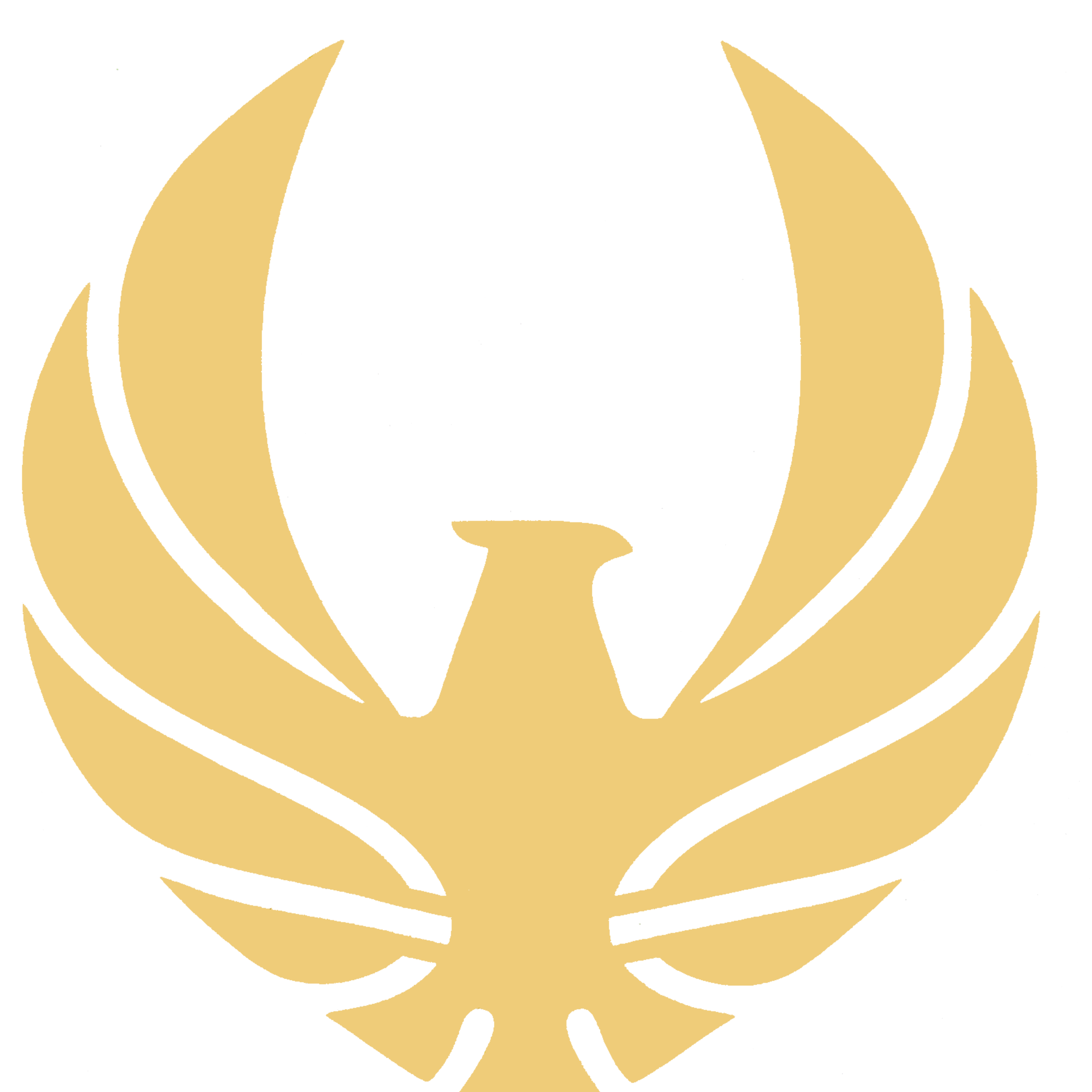 نویان صنعت شاهین