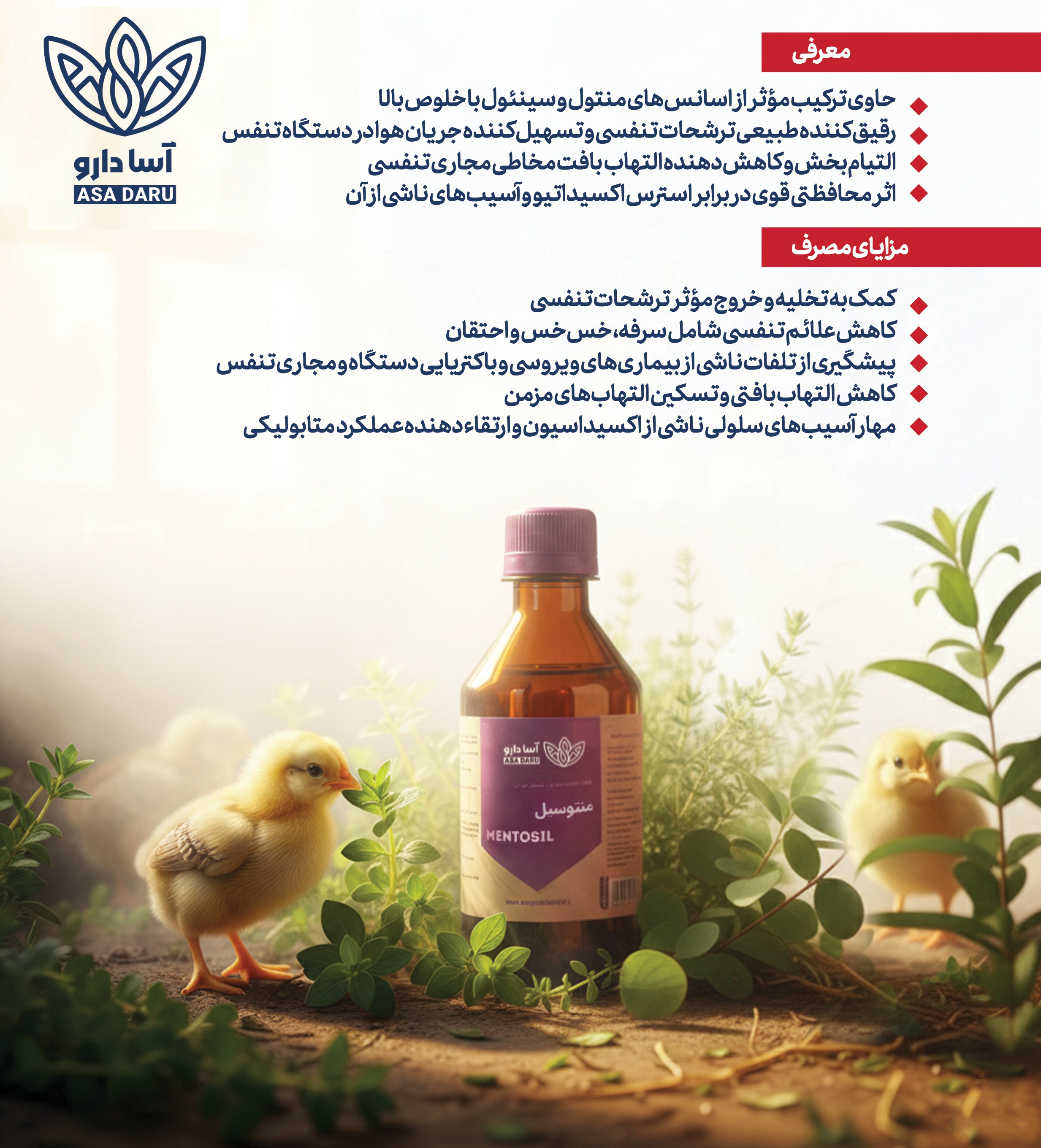 منتوسیل