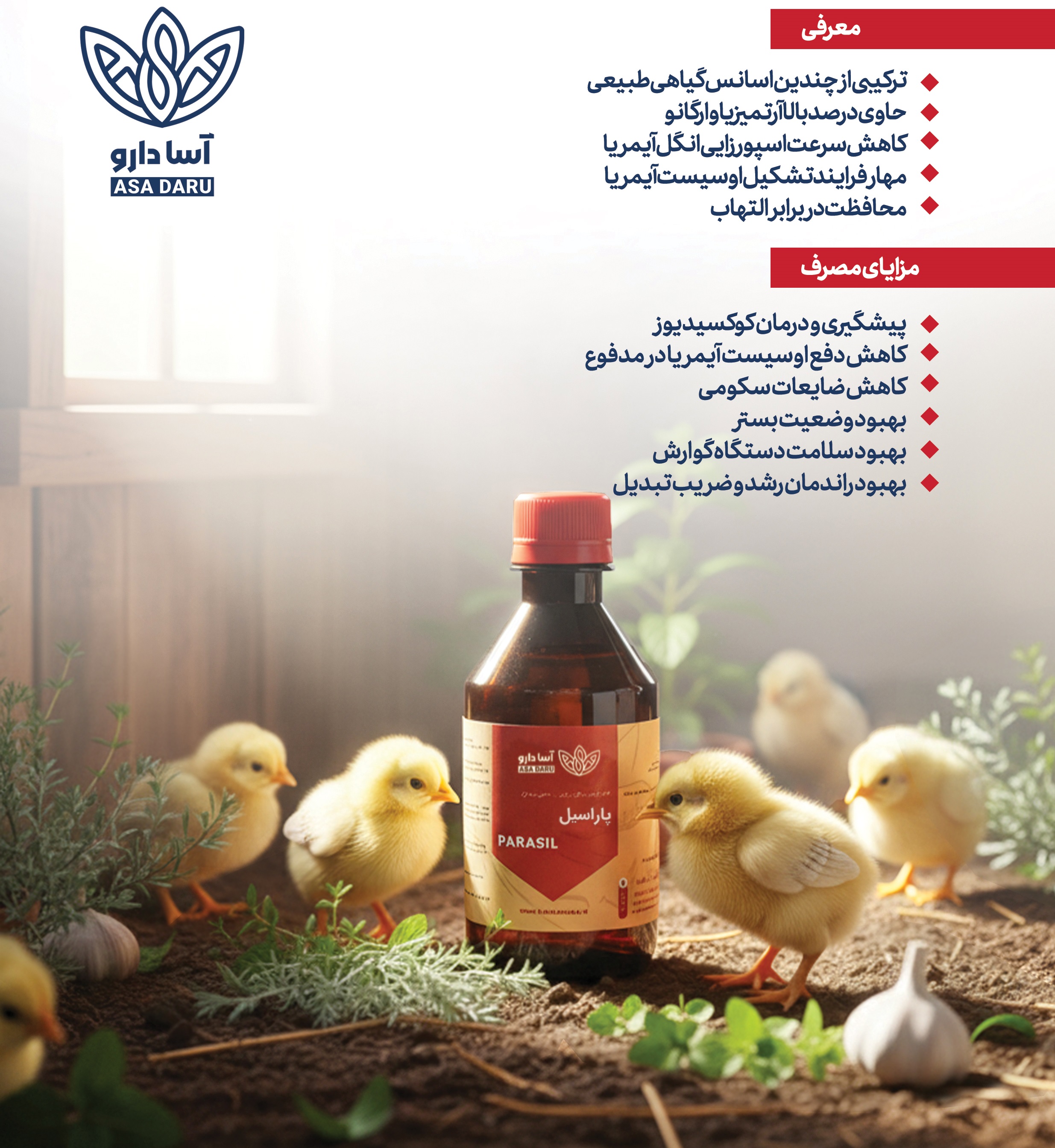پاراسیل