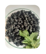 اکو فسفودات